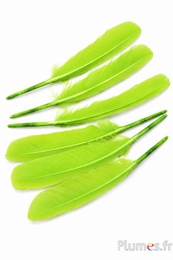 Zwaan - 30-33 cm - lime